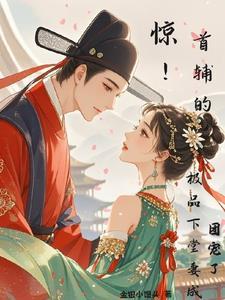 首辅娇娘!