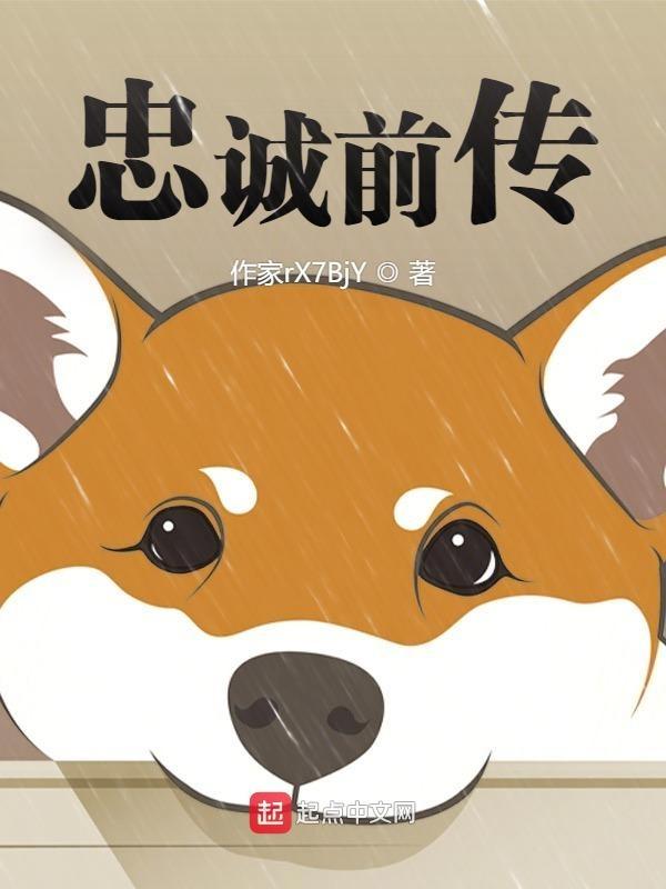 忠诚12集
