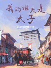 我的姐夫是太子全集免费