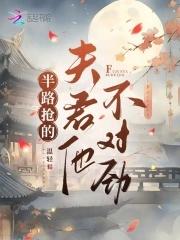 半路夫夫在线阅读
