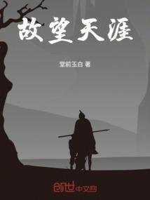 天涯望月简介