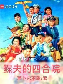 鳏夫的四合院笔趣阁无错