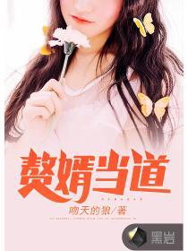 网络旷世神婿