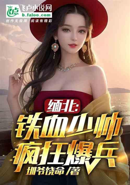 缅北事件