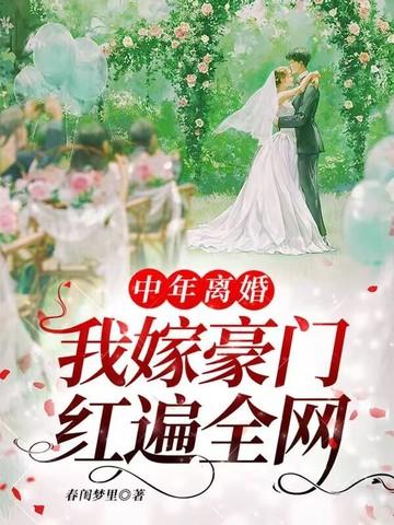人到中年我离婚了