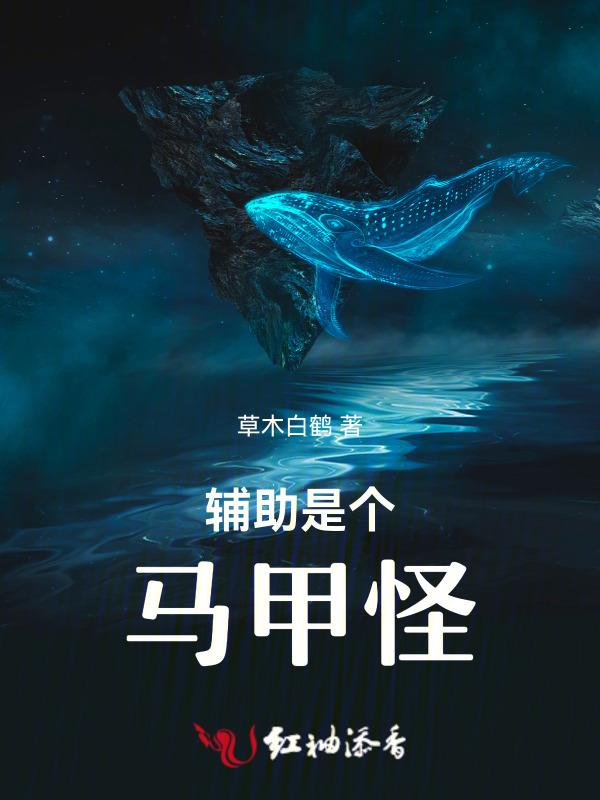 辅助是干嘛