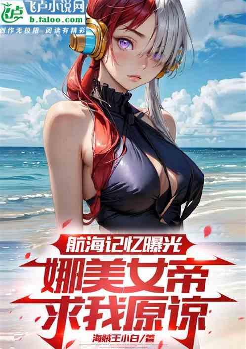 海贼王娜美的航海日记