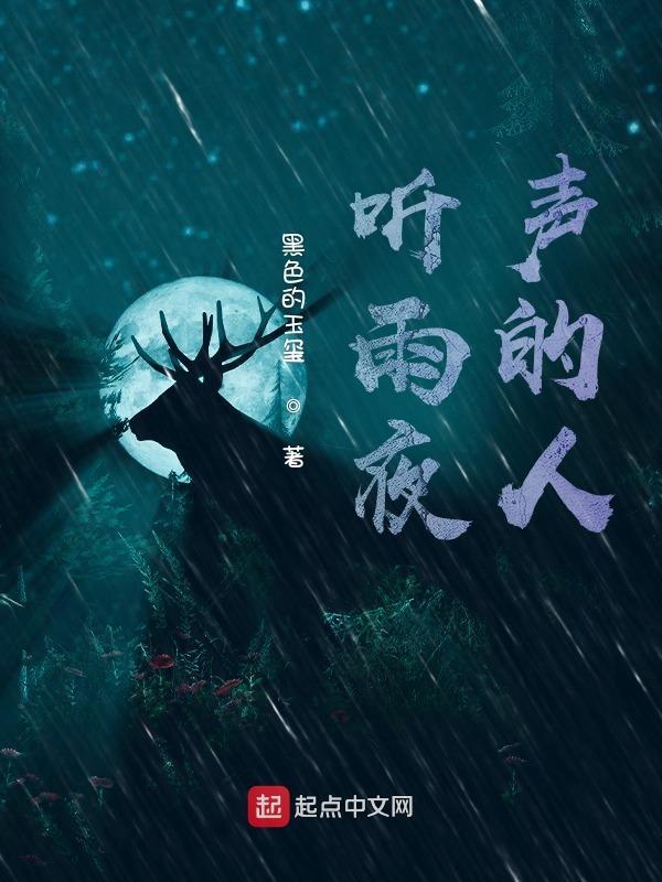 雨夜听雨人