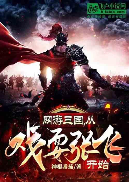 网游三国之进入游戏
