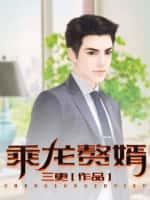 乘龙赘婿完整版