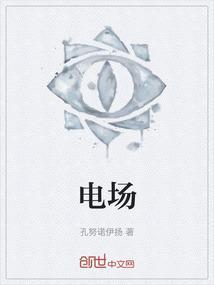 电场强度的计算公式