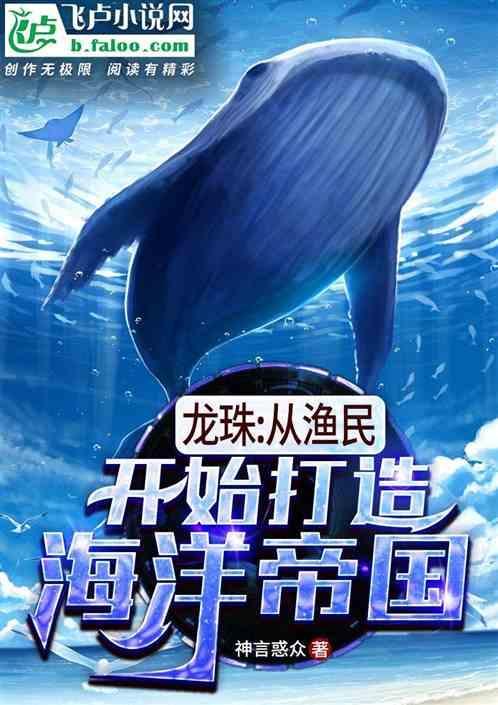 龙珠之旅从海贼开始