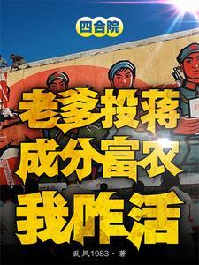 四合院之贾爸