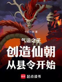 气运之子简介