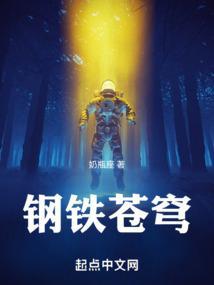 钢铁苍穹3上映了吗