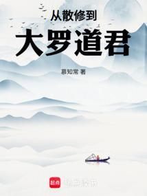 从散修到大罗道君的