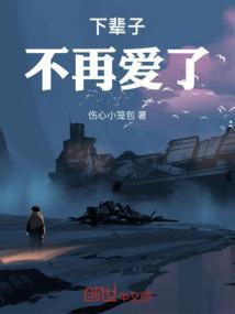 下辈子不在爱你的故事