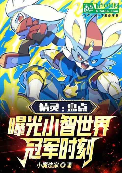 小智是冠军吗