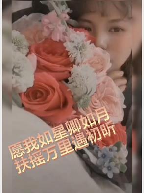 愿我如星君如月免费阅读