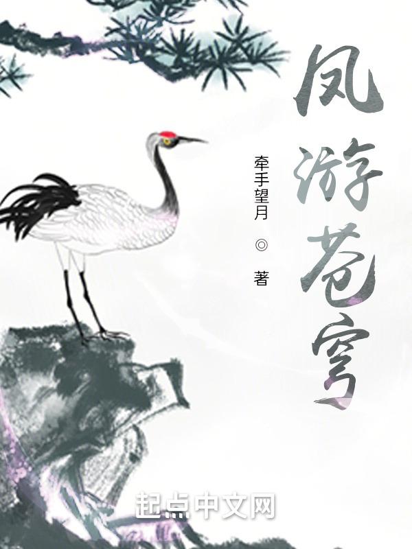 凤戏苍穹