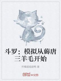 穿越斗罗唐三有系统