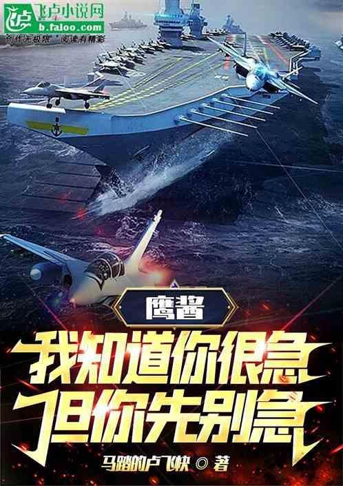 鹰酱，我知道你很急，但你先别急