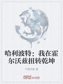 哈利波特：我在霍尔沃兹扭转乾坤