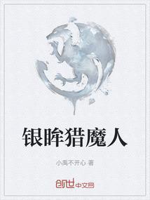 银眸猎魔人
